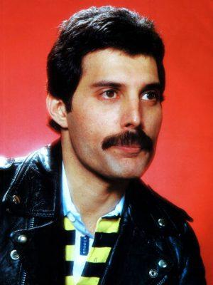 Freddie Mercury Taille Poids