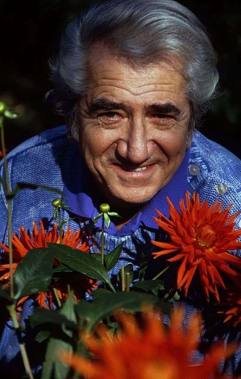 Daniel Gelin Fils
