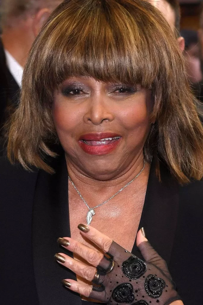 Le Fils De Tina Turner