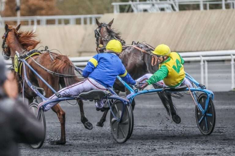 Mort Cheval Galius