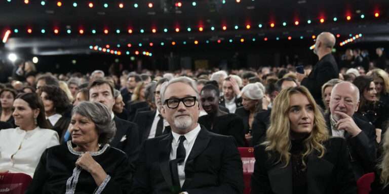 David Fincher Virginie Efira