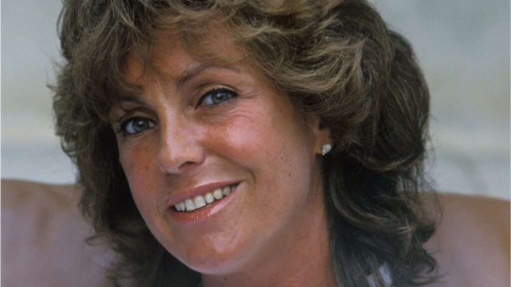 Accident De Sacha Distel