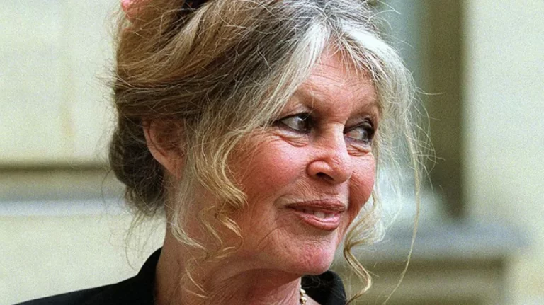 Fils De Brigitte Bardot Et Roger Vadim